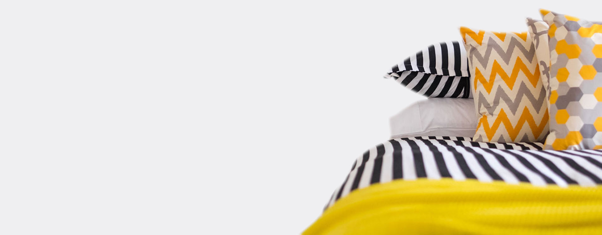 Promo Banner
